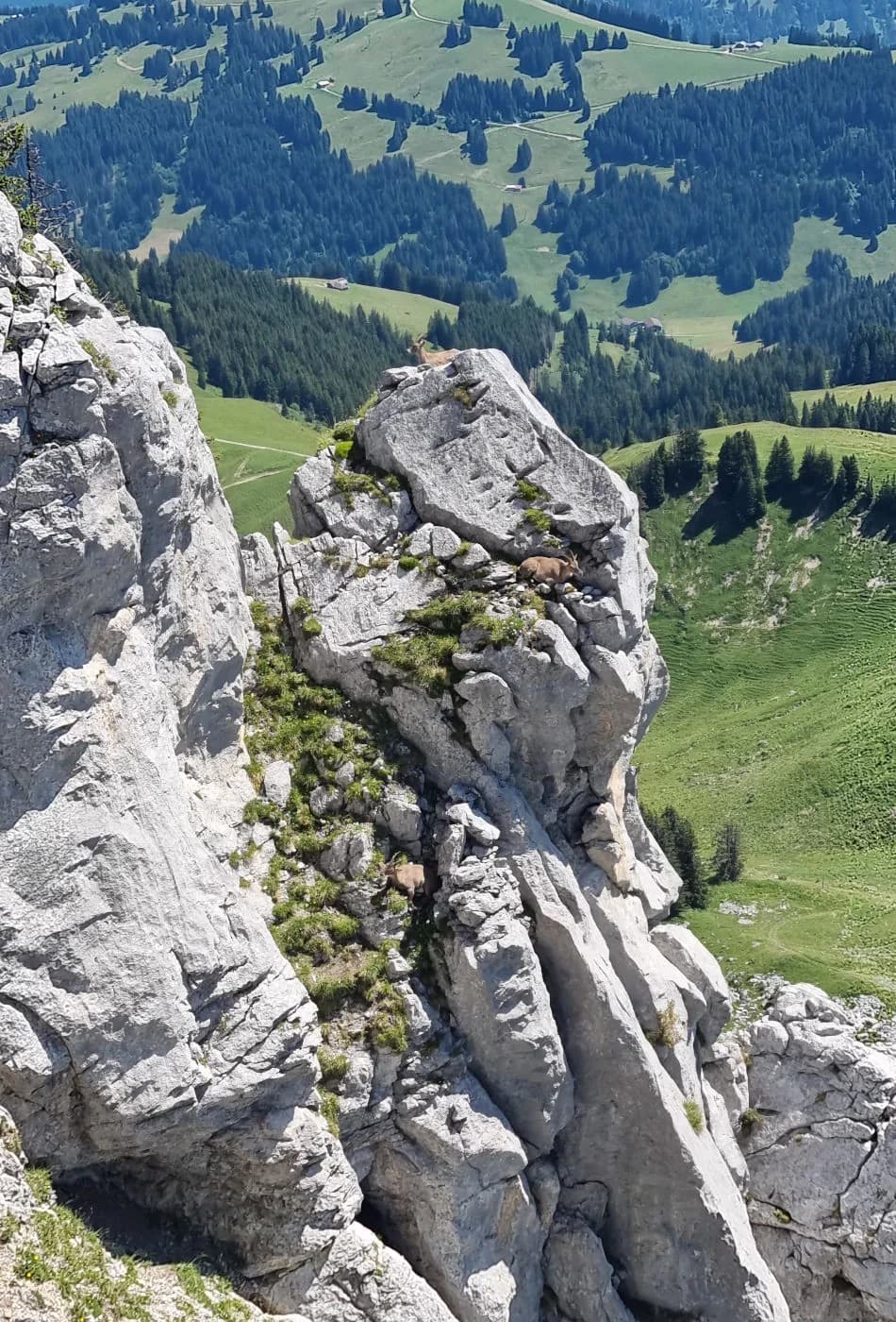 Via Ferrata Videmanette 1 - photo 2