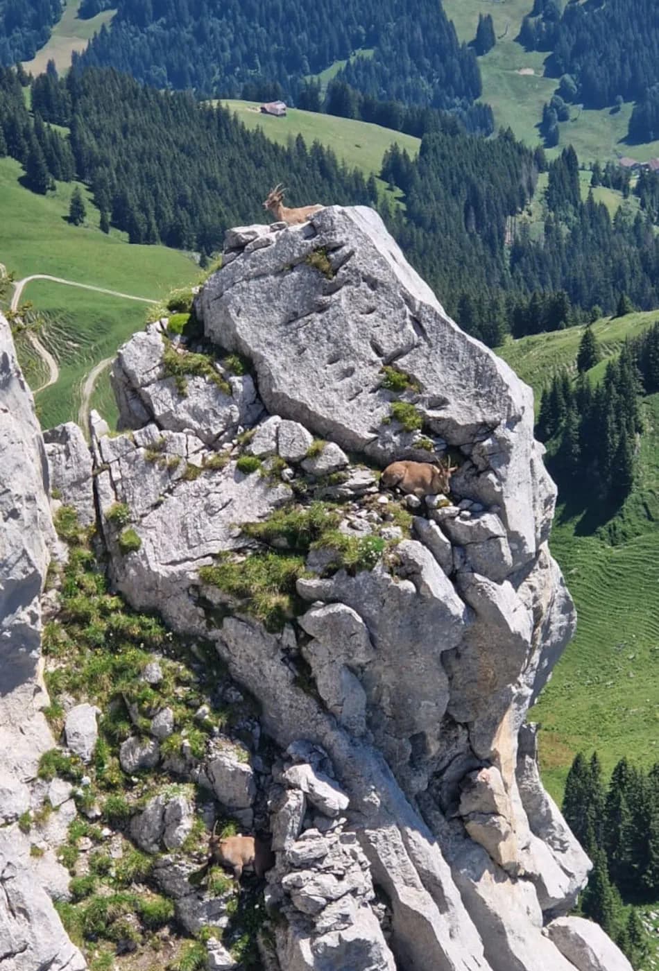 Via Ferrata Videmanette 1 - photo 4