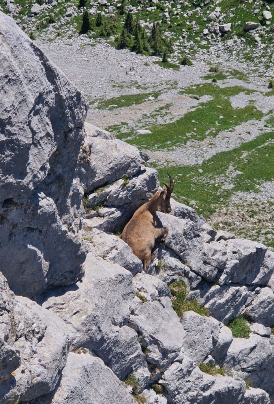 Via Ferrata Videmanette 1-2 - photo 5