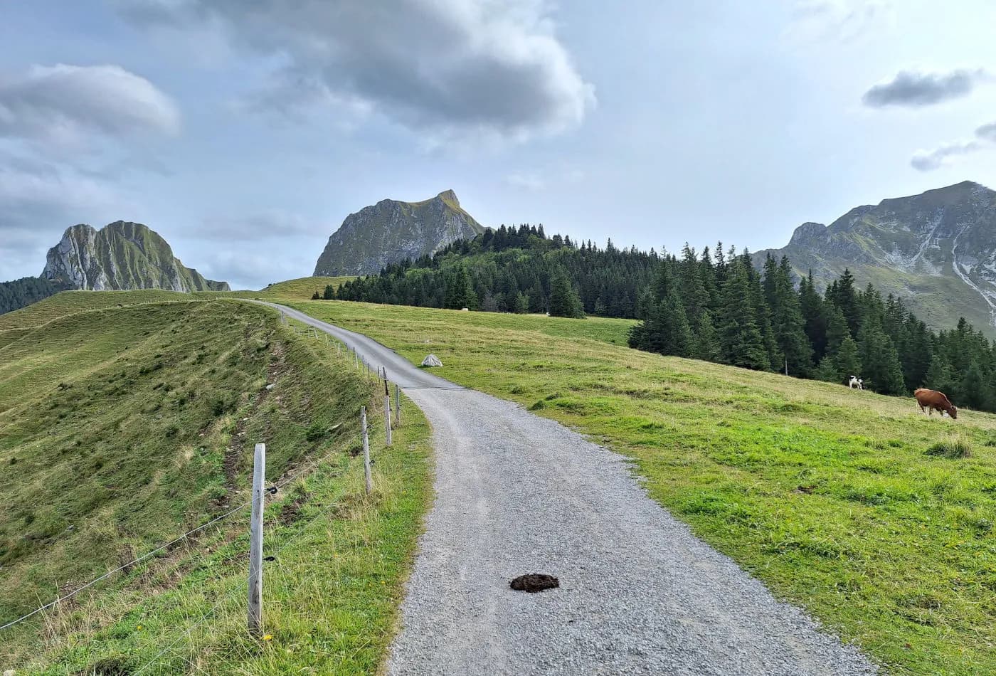 Via Ferrata du Gantrisch - photo 1
