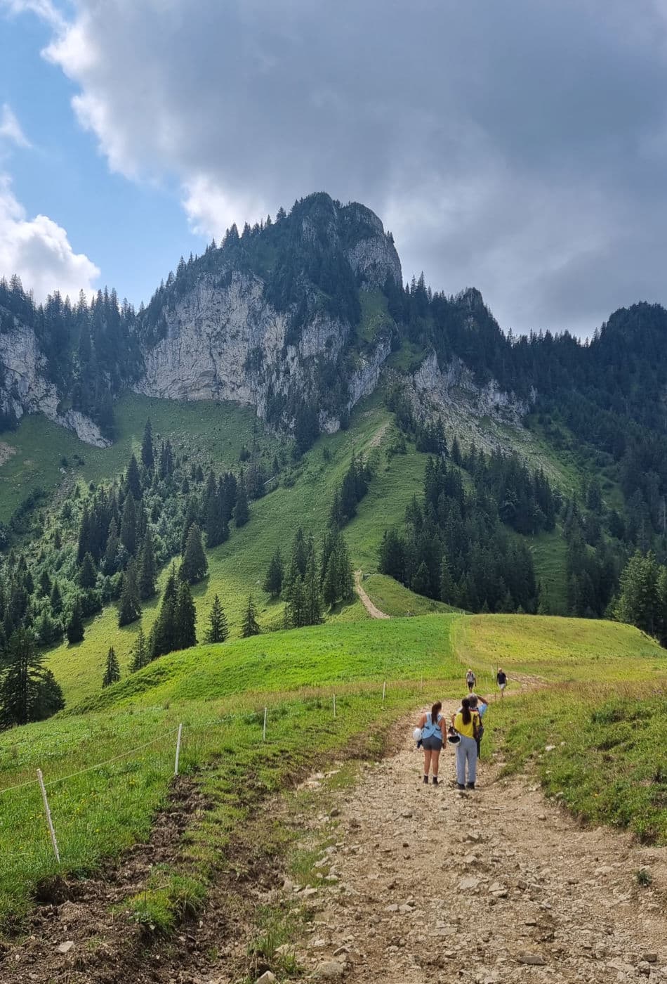 Charmey Les Contreforts - photo 1