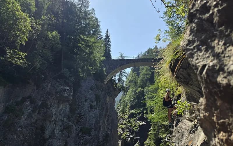 Via Ferrata des gorges de Mauvoisin Saxifrage